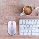 Foreign trade popular notebook wireless mouse computer accessories girl mouse Amazon shopee hot sale
