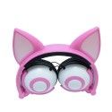 Earphone factory wholesales cross border special power supplier's popular cat fox ear luminous children's earphone