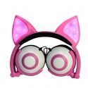 Earphone factory wholesales cross border special power supplier's popular cat fox ear luminous children's earphone