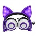 Earphone factory wholesales cross border special power supplier's popular cat fox ear luminous children's earphone