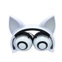 Earphone factory wholesales cross border special power supplier's popular cat fox ear luminous children's earphone