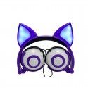 Earphone factory wholesales cross border special power supplier's popular cat fox ear luminous children's earphone