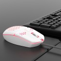 Fan mouse wired game home office male and female student notebook
