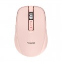 Cross border tiger cat M303 wireless Bluetooth dual-mode rechargeable mouse desktop notebook e-sports game RGB light
