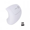 Cross border factory ergonomics charging E-sports vertical mouse vertical office wireless handheld computer game mouse