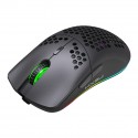 T66 Dongdong mouse 2.4G wireless mouse lightweight design cellular RGB luminous 6-button mouse spot batch