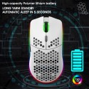 Cross border spot lightweight hollow hole mouse RGB wireless 2.4G charging game luminous computer office mouse