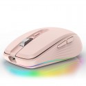 Cross border tiger cat M303 wireless Bluetooth dual-mode rechargeable mouse desktop notebook e-sports game RGB light