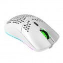 T66 Dongdong mouse 2.4G wireless mouse lightweight design cellular RGB luminous 6-button mouse spot batch