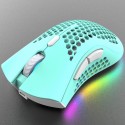 Viper hollow hole charging Wireless mouse game luminous RGB computer office mouse lightweight Amazon