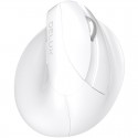 Colorful m618mini left and right hand vertical wireless Bluetooth dual mode charging lithium cochlear anti hand mouse