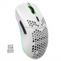 T66 Dongdong mouse 2.4G wireless mouse lightweight design cellular RGB luminous 6-button mouse spot batch