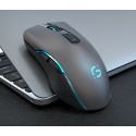Foreign trade explosion wireless Bluetooth mouse charging dual-mode laptop desktop silent game Office
