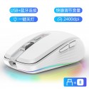 Cross border tiger cat M303 wireless Bluetooth dual-mode rechargeable mouse desktop notebook e-sports game RGB light